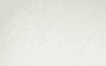 Arte Monsoon Musa 75001