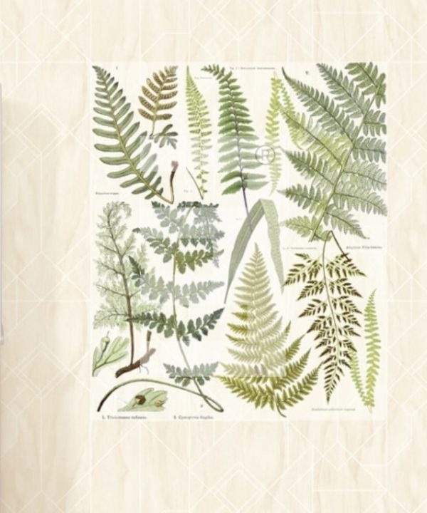 Geonature Eijffinger behang 366102