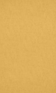 BN Wallcoverings, Van Gogh 2019, 17132