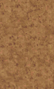 BN Wallcoverings, Van Gogh 2019, 220045