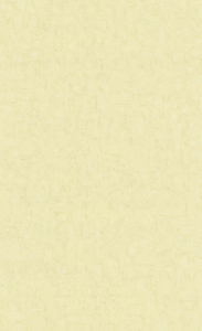 BN Wallcoverings, Van Gogh 2019, 220078