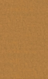 BN Wallcoverings, Van Gogh 2019, 220080