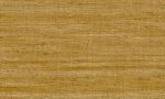 Lino, Arte - Lignes 40501