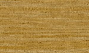 Lino, Arte - Lignes 40501