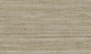Lino, Arte - Lignes 40503