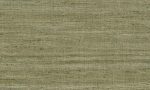 Lino, Arte - Lignes 40505
