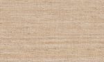 Lino, Arte - Lignes 40506