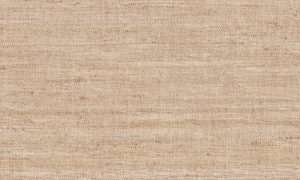 Lino, Arte - Lignes 40506