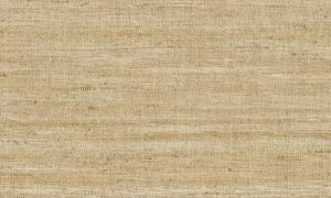 Lino, Arte - Lignes 40510