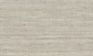 Lino, Arte - Lignes 40511