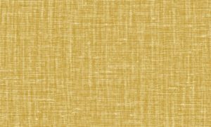Lino, Arte - Gioco 40522