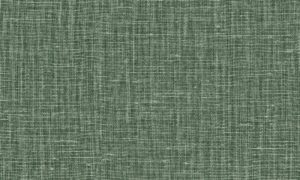 Lino, Arte - Gioco 40526