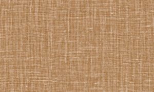 Lino, Arte - Gioco 40527
