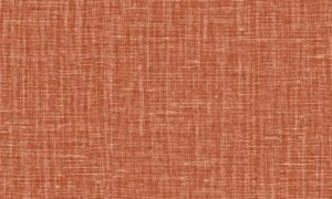 Lino, Arte - Gioco 40529