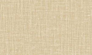 Lino, Arte - Gioco 40532