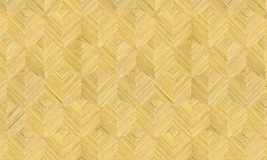 Oculaire, Arte - Insignia 80554