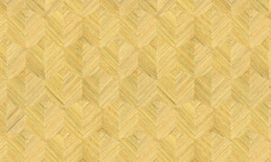 Oculaire, Arte - Insignia 80554
