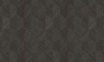 Oculaire, Arte - Insignia 80556