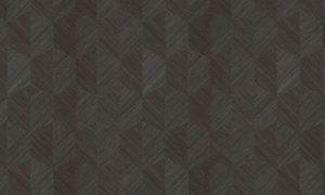 Oculaire, Arte - Insignia 80556