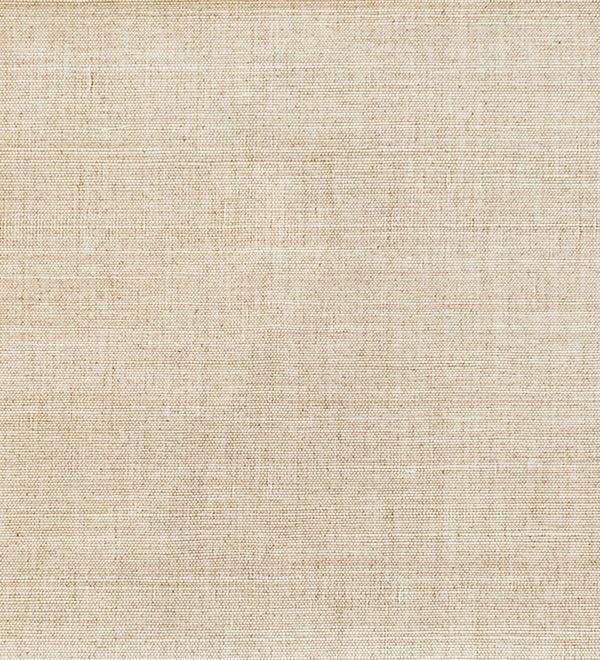 Oculaire, Arte - Line 80700