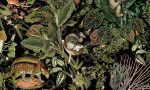 Moooi wallcovering - Extinct Animals, Arte - MO2071