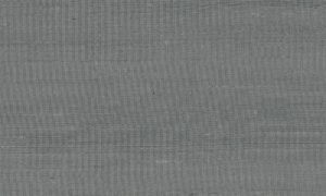 Paleo, Arte - Latus 50504