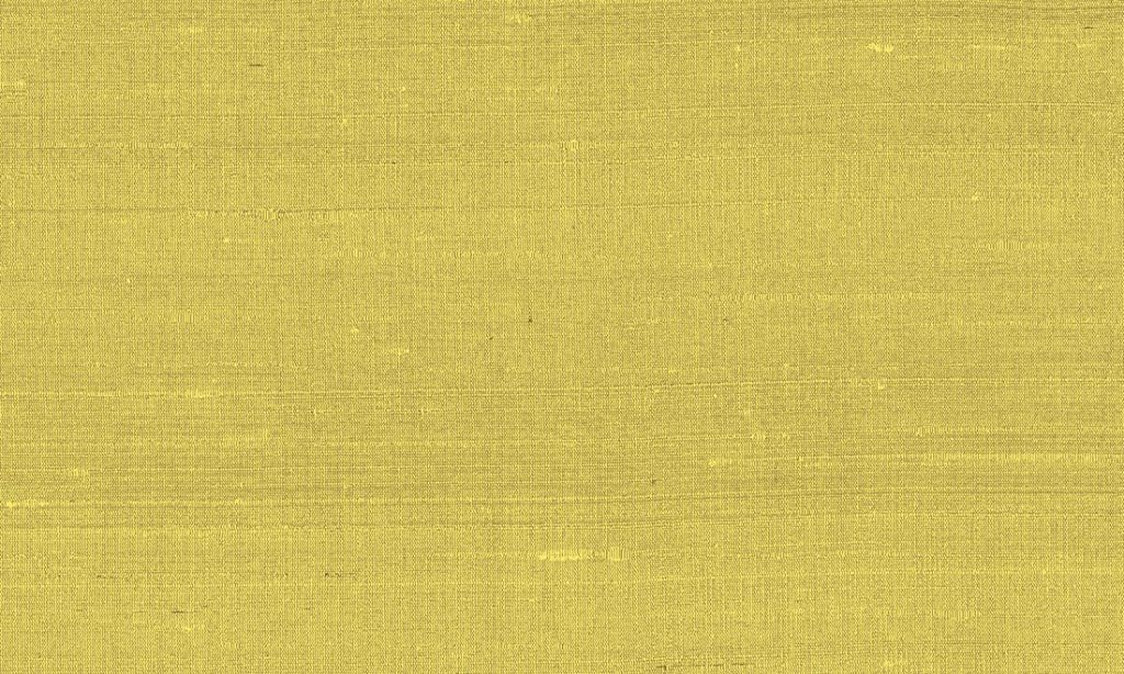 Paleo, Arte - Latus 50507