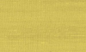 Paleo, Arte - Latus 50507