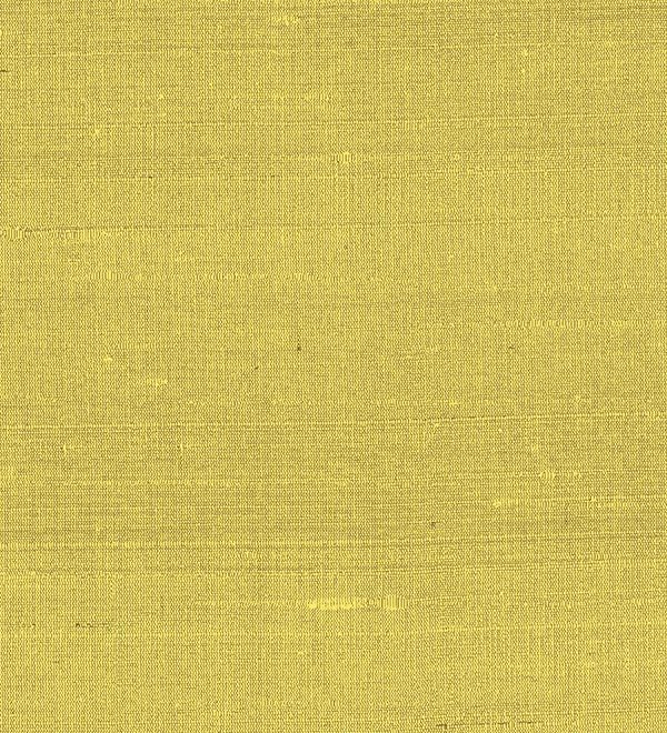 Paleo, Arte - Latus 50507