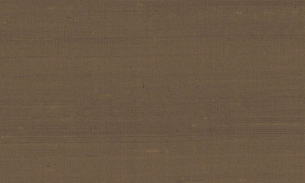 Paleo, Arte - Latus 50508