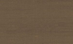 Paleo, Arte - Latus 50508