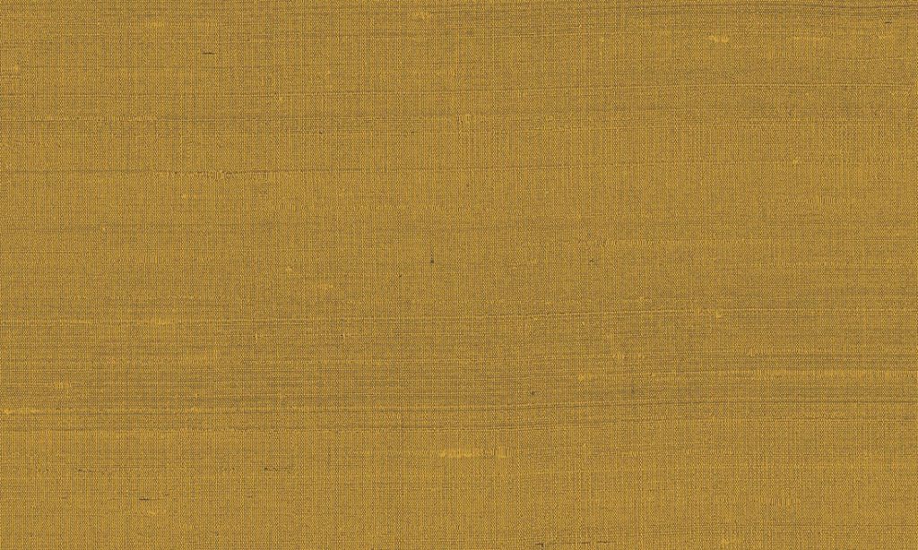 Paleo, Arte - Latus 50509
