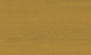 Paleo, Arte - Latus 50509