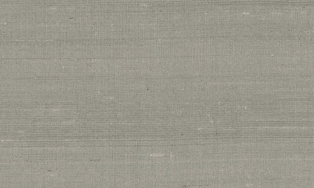 Paleo, Arte - Latus 50510