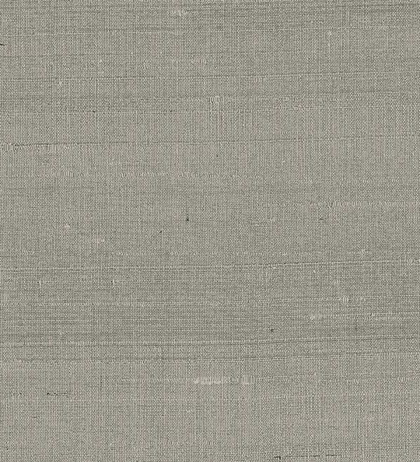Paleo, Arte - Latus 50510