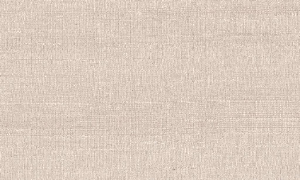 Paleo, Arte - Latus 50512