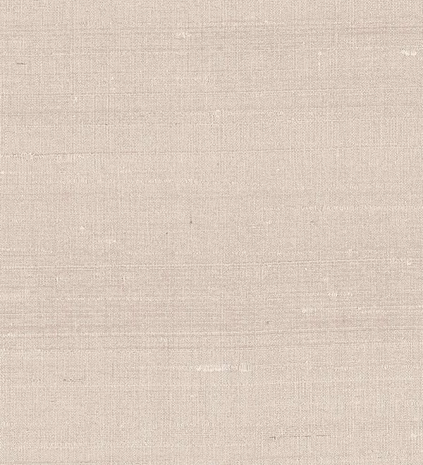 Paleo, Arte - Latus 50512