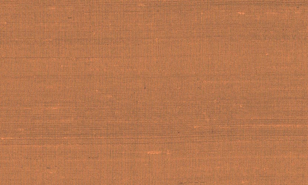Paleo, Arte - Latus 50514