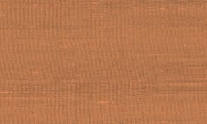 Paleo, Arte - Latus 50514