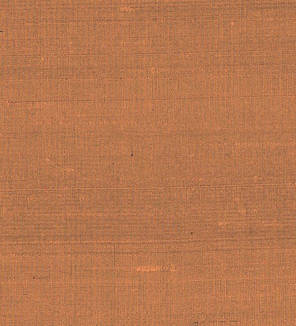 Paleo, Arte - Latus 50514
