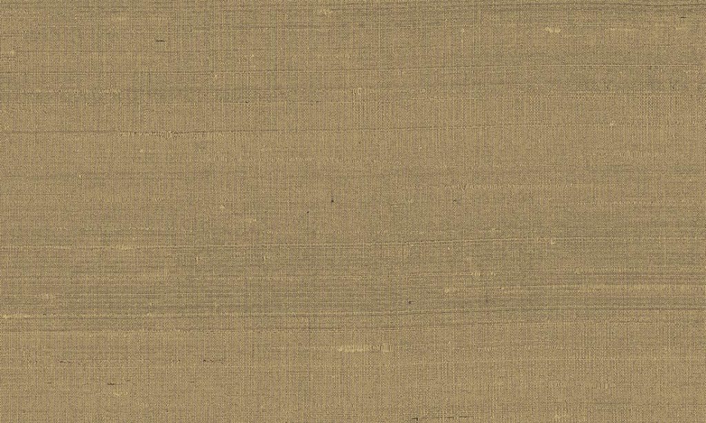 Paleo, Arte - Latus 50515