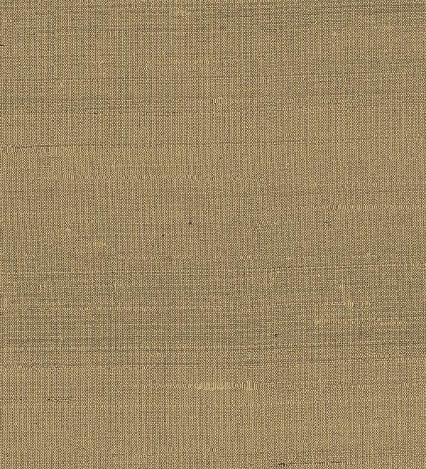 Paleo, Arte - Latus 50515