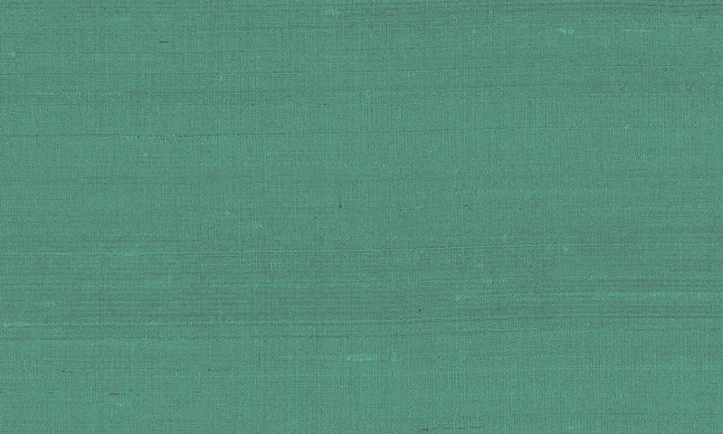Paleo, Arte - Latus 50516
