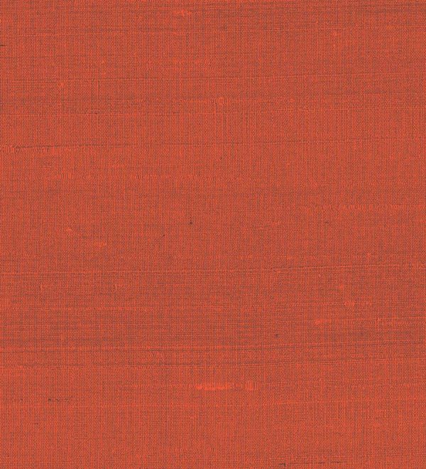 Paleo, Arte - Latus 50517