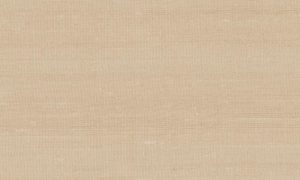 Paleo, Arte - Latus 50518