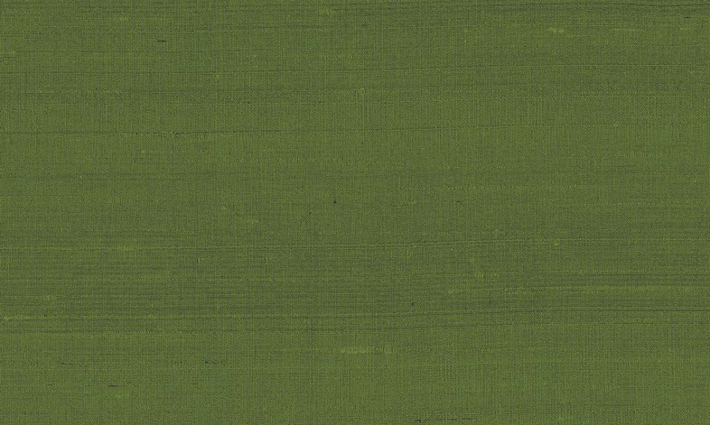 Paleo, Arte - Latus 50519