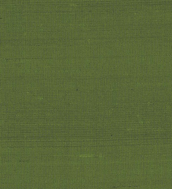Paleo, Arte - Latus 50519