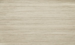 Oculaire, Arte - Line 80704