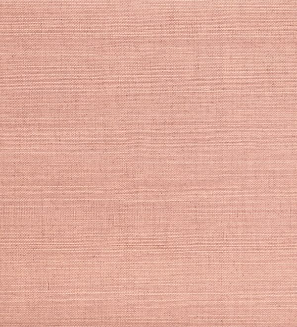 Oculaire, Arte - Line 80709