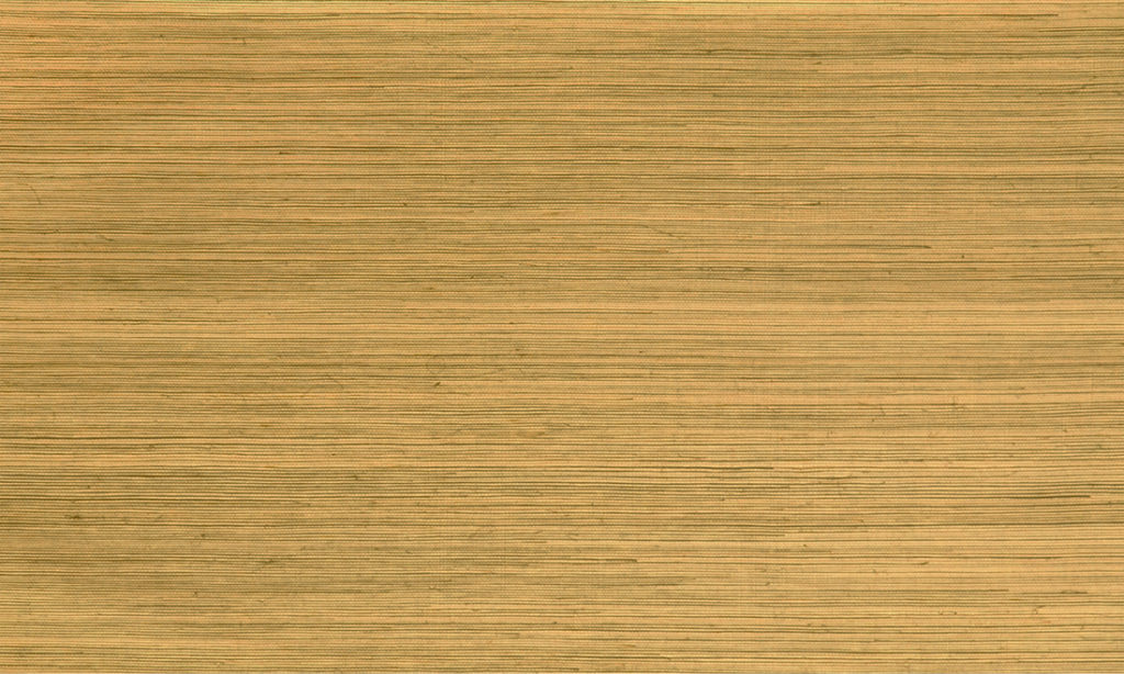 Oculaire, Arte - Line 80710